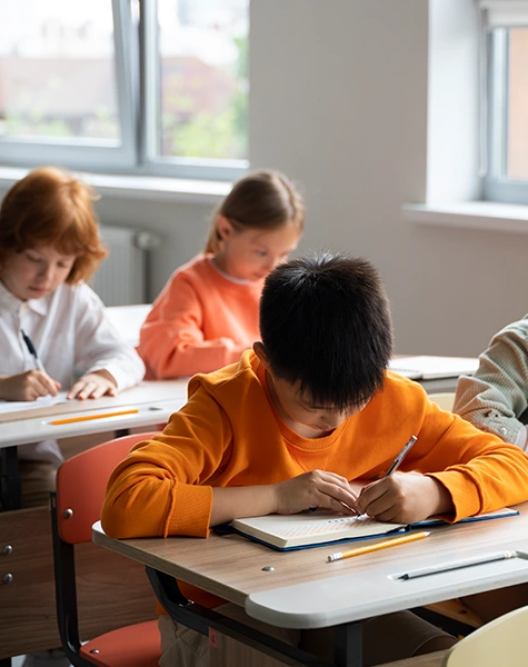 schooling visa 3 schooling visa 3